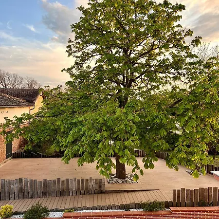 Hotel Domaine D'en Fargou