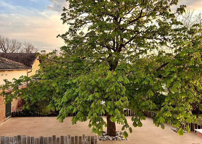 Hotel Domaine D'en Fargou